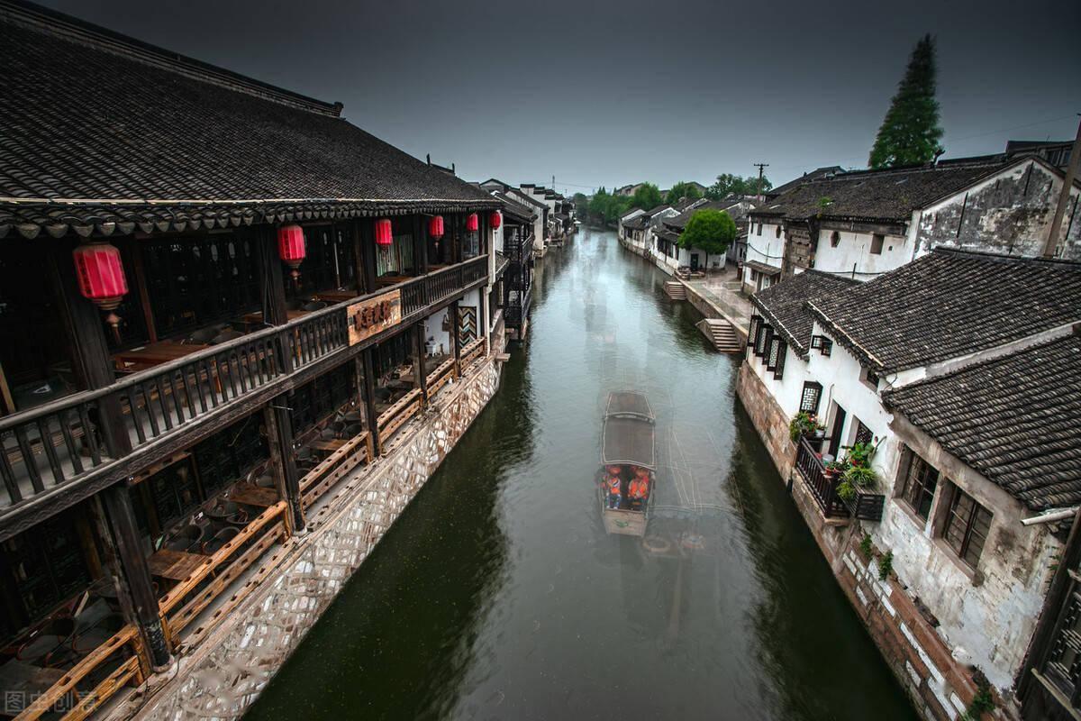 洛阳:70万盆催花牡丹春节前上市 线上线下销售火爆